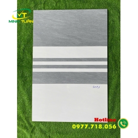 Gạch ốp tường 30X60 HK3083