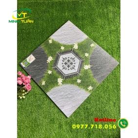 Gạch 50x50 HPSBBHP5506