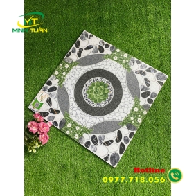 Gạch 50x50 HPSBBHP5509