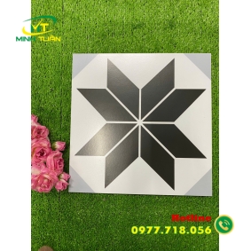 Gạch 30x30 CAGB3003