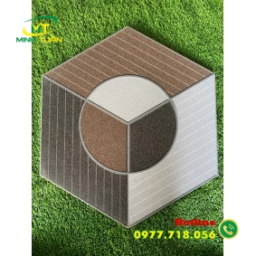 Gạch Lục giác CA9313
