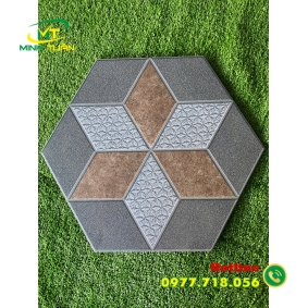 Gạch Lục giác CA9518