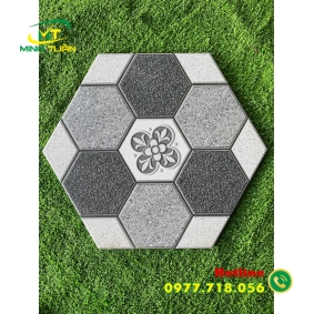 Gạch Lục giác CA9920
