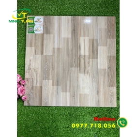 Gạch 50x50 MT5006
