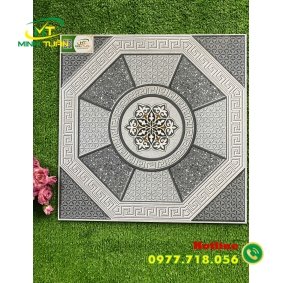Gạch Sân Vườn 50x50 MT55007 