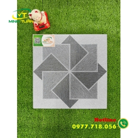 Gạch lát 30x30 NP3016