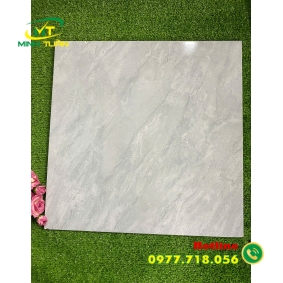 Gạch 50x50 NP5006