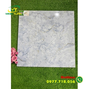 Gạch 50x50 PLGK5111