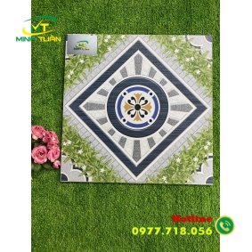 Gạch 50x50 SBBHP5514