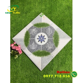 Gạch 50x50 SBBYN07