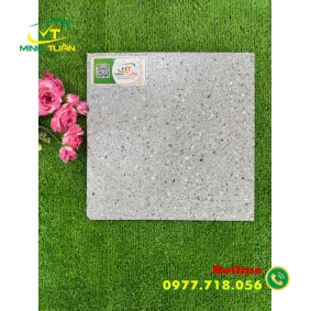 Gạch lát 30x30 SKD3049