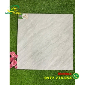 Gạch 50x50 THPWGHC5006