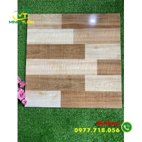 Gạch 50x50 THPWGHC5007