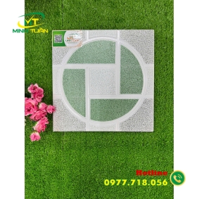 Gạch lát 30x30 TM3110