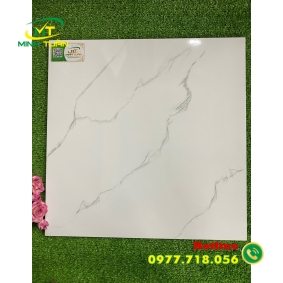 Gạch 50x50 TMLF5403