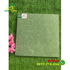 Gạch 40x40 TPN415