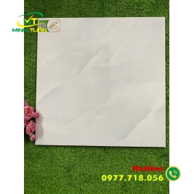 Gạch 50x50 TPSA5001