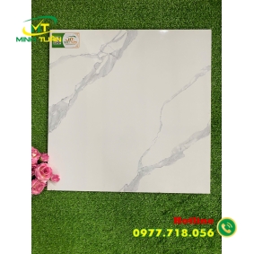 Gạch 50x50 TPSA5002