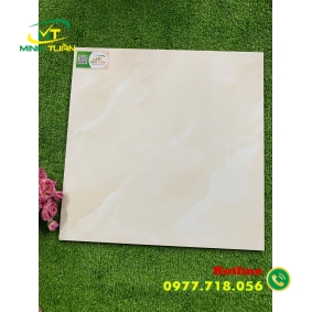 Gạch 50x50 TPSA5003