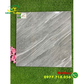 Gạch 50x50 TPSA5004