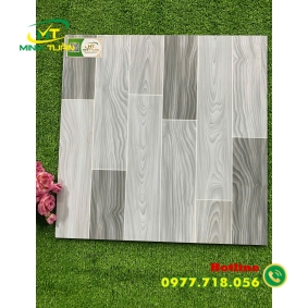 Gạch 50x50 TPSA5007