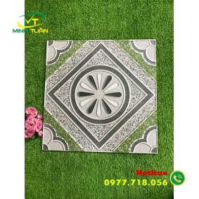 Gạch 50x50 TPSM501