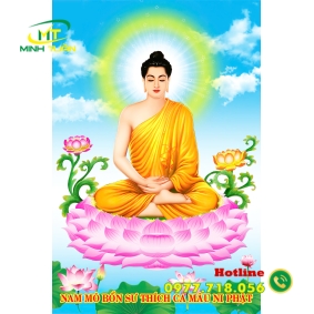 Tranh phong cảnh 45