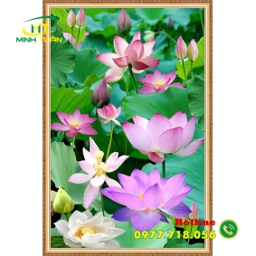 Tranh phong cảnh 65