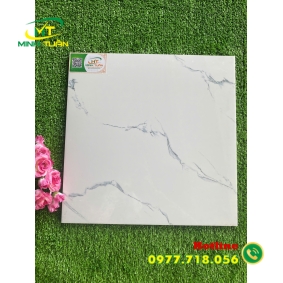 Gạch 40x40 TTP Vân