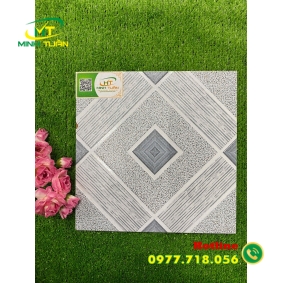 Gạch 30x30 TTP305