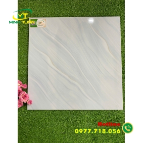 Gạch 50x50 VTCVZ5325