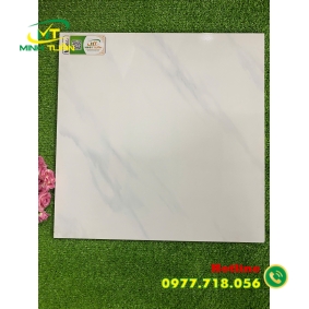 Gạch 50x50 YN542