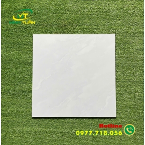Gạch 50x50 6KS5155