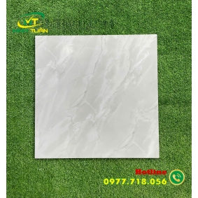Gạch lát 50x50 KS5133
