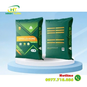 Keo dán gạch APOLLO HOME S600 ECO