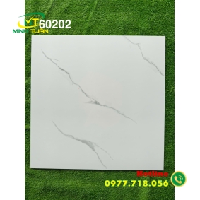 Gạch đá bóng kính 60x60 MT60202