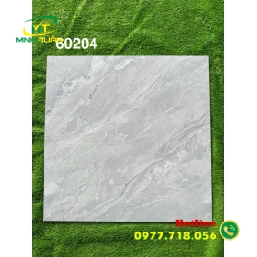 Gạch đá bóng kính 60x60 MT60204