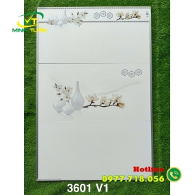 Gạch ốp tường 30x60 MT3601