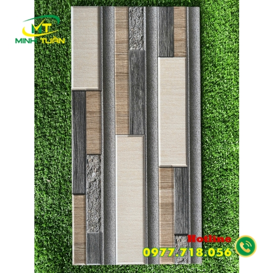 Gạch trang trí 25x50 01