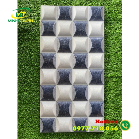 Gạch trang trí 25x50 02