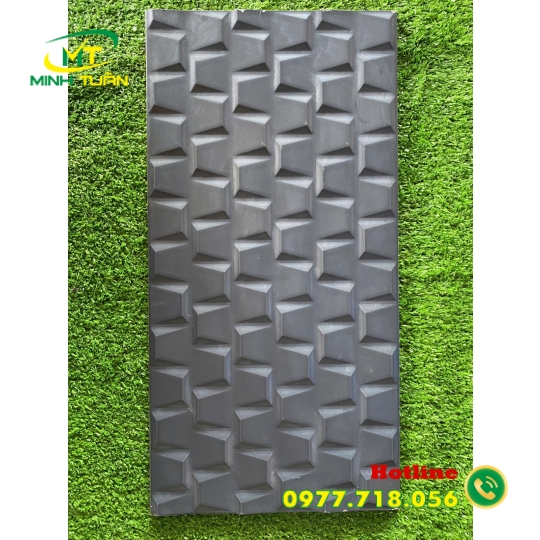 Gạch trang trí 25x50 ĐTP2507