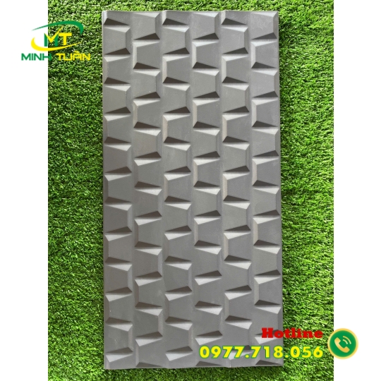 Gạch trang trí 25x50 ĐTP2508