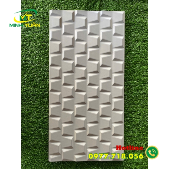 Gạch trang trí 25x50 KT250