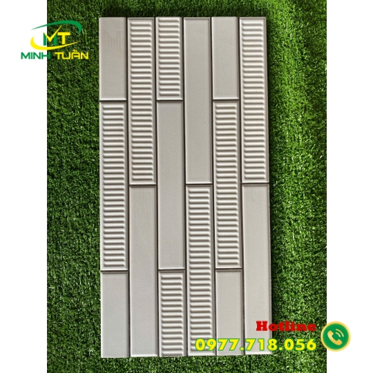 Gạch trang trí 25x50 KT2501