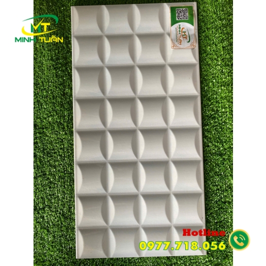 Gạch trang trí 25x50 HPD250310