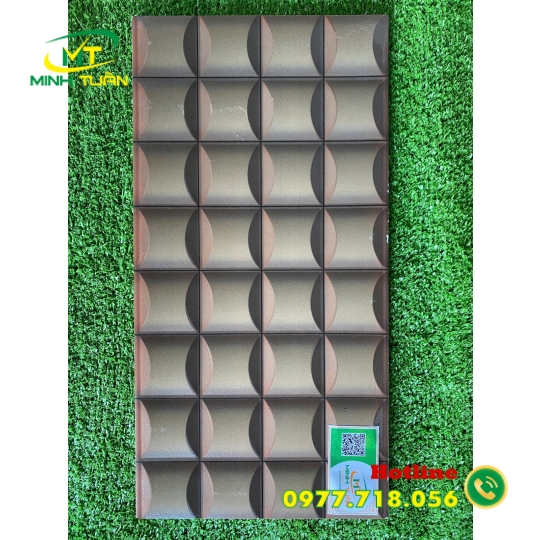 Gạch trang trí 25x50 HPD25042