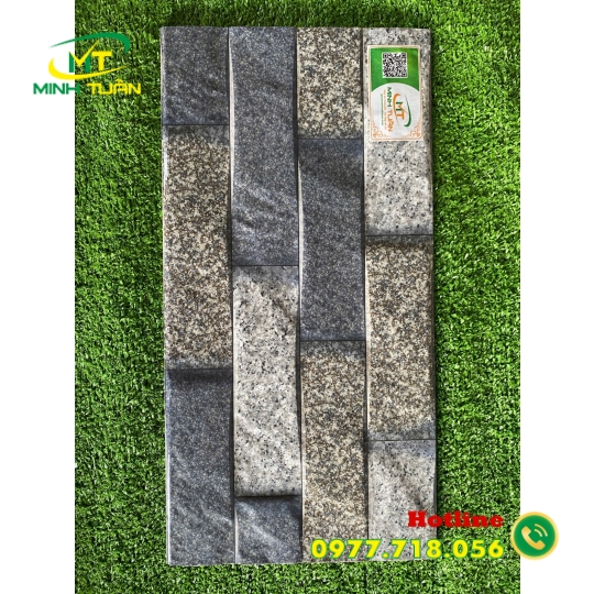 Gạch trang trí 25x50 HPD250112