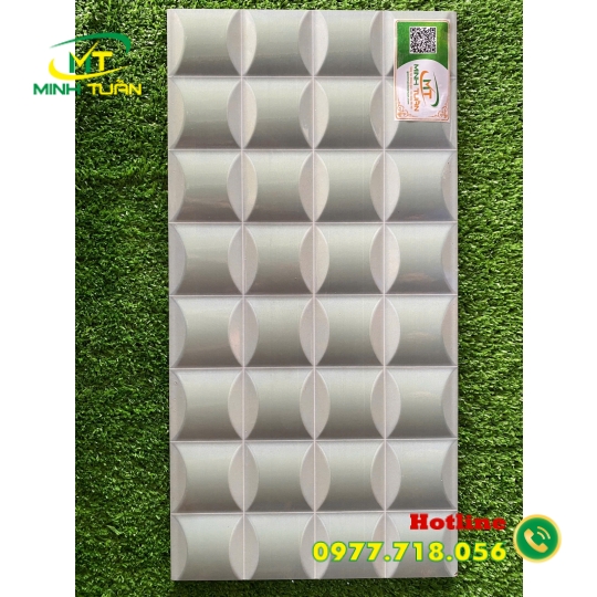 Gạch trang trí 25x50 HPD250318