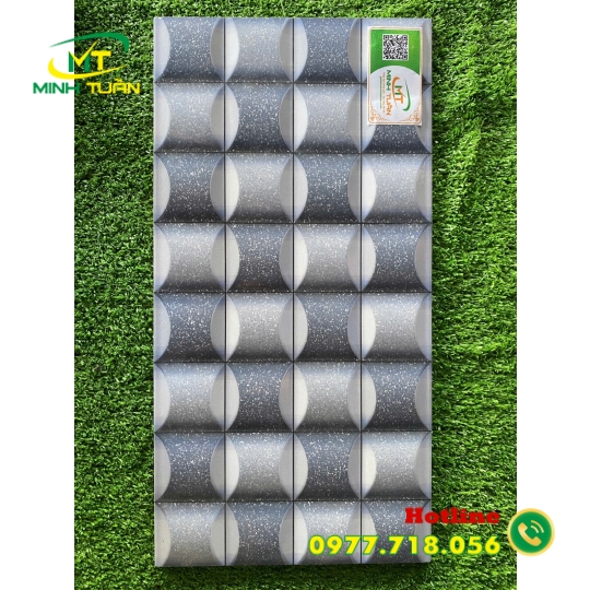 Gạch trang trí 25X50 HPD250323