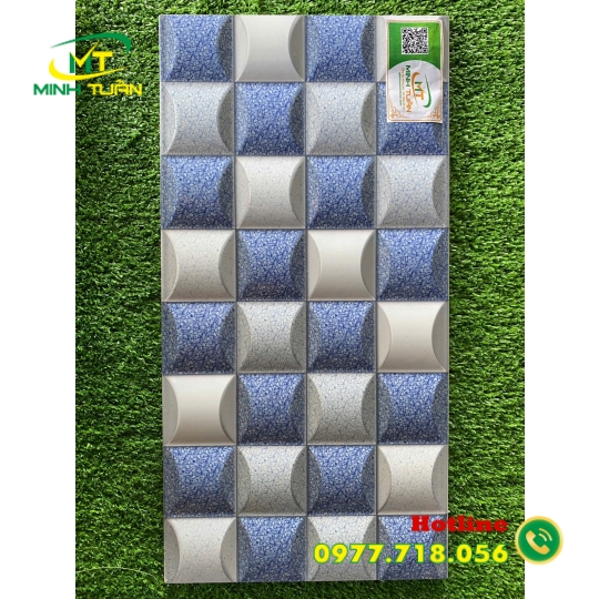 Gạch trang trí 25x50 HPD25311